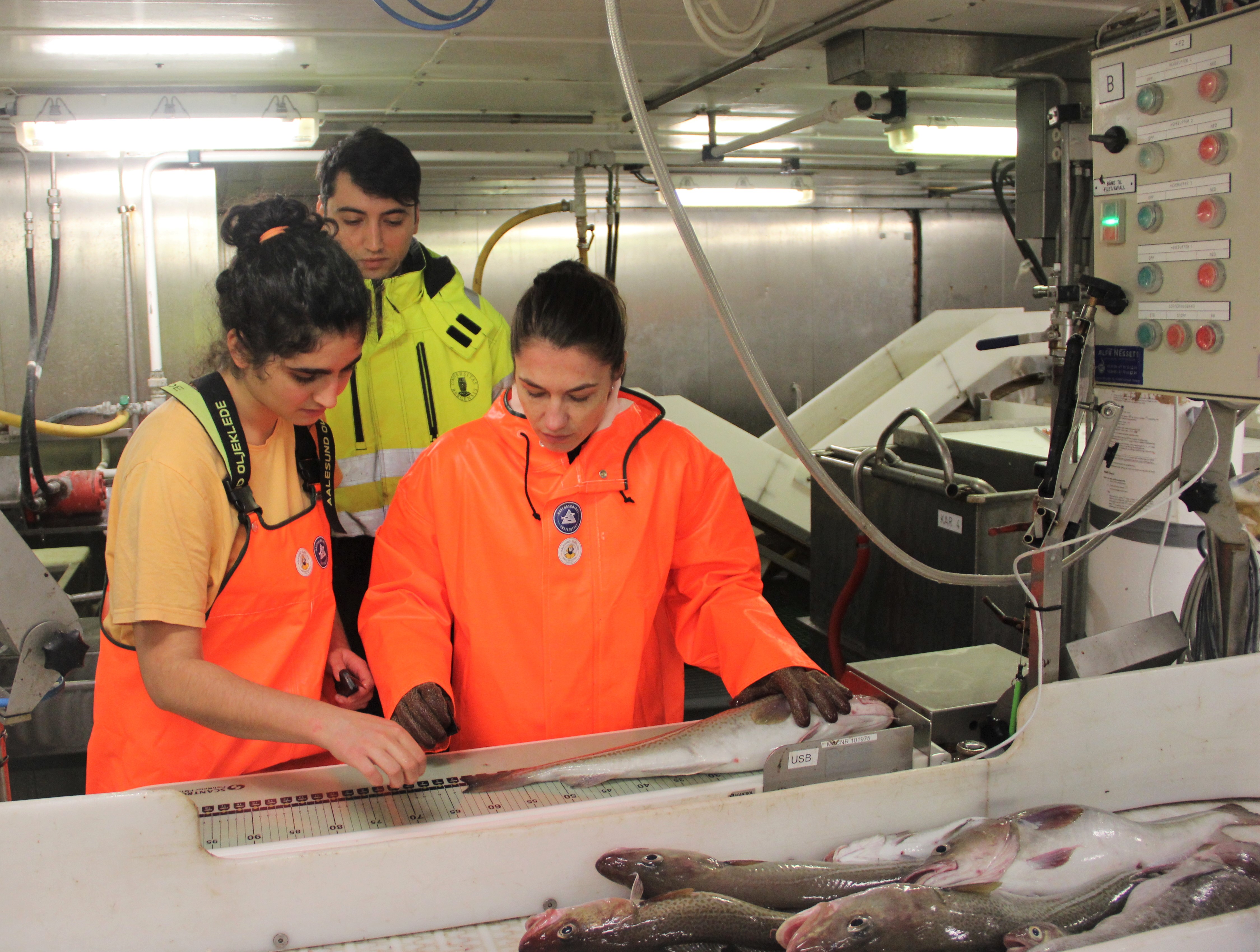 Trawl survey on G.O. Sars